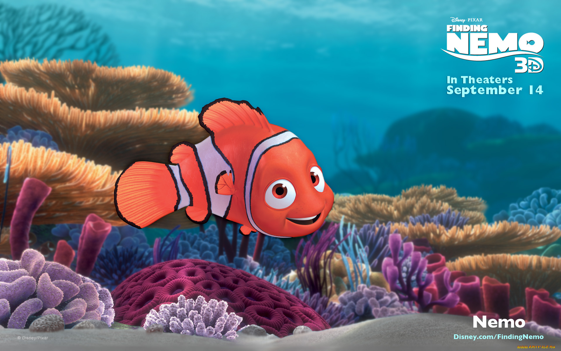 Обои Finding Nemo Мультфильмы Finding Nemo, обои для рабочего стола,  фотографии finding, nemo, мультфильмы, в, поисках, немо, мульт Обои для  рабочего стола, скачать обои картинки заставки на рабочий стол.